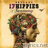 20 Years 17 Hippies - Anatomy