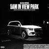 5 A.M. IN VIEW PARK - EP