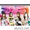 2NE1 2012 1st Global Tour - NEW EVOLUTION in Japan