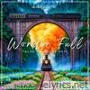 Wonder Full