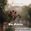 Soy Rebelde - Single