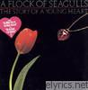 A Flock Of Seagulls - The Story of a Young Heart