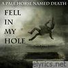 Fell in My Hole - Single