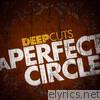 Deep Cuts: A Perfect Circle - EP
