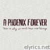 A Phoenix Forever - This Is Why We Can't Have Nice Things
