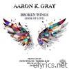 Broken Wings (Book of Love) [DJ Gomi Mix] - Single
