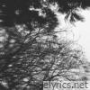 Dissociation - Single