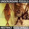 Underground Fossils