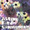 Active Bird Community - EP
