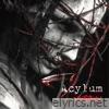 Acylum lyrics