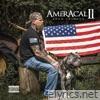 AmerAcal II