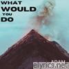 What Would You Do - Single