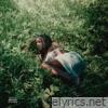 toes in the grass - Single