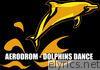 Dolphins Dance