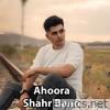 Shahr Bano - Single