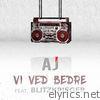 Vi Ved Bedre (feat. Blitzkrieger) - Single