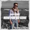 Now You're Gone - Single