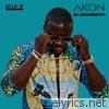 Akon - El Negreeto