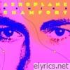 Aeroplane remixe Chamfort - EP