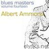 Blues Masters (Volume 14)