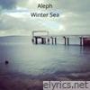Winter Sea - EP