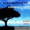 Amnesia (Radio edit) - EP