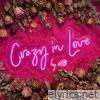 Crazy in Love (feat. Hurricane Ceasar) [Alexander Metzger Mix] - Single