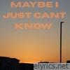 Maybe I Just Cant Know - Single