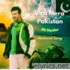 Tera Mera Pakistan - Single