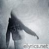 viii. Fake Alas · muert3 - Single