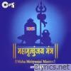 Maha Mrityunjay Mantra (Shiv Bhajan)