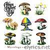 Mycology - An Anthology