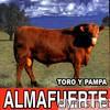 Toro y Pampa