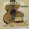 Almir Sater - Pantanal Music
