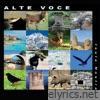 Alte Voce lyrics