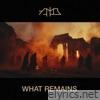 What Remains - Single
