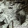 The Valley - Single