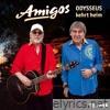 Odysseus kehrt heim - Single