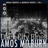 Dark City Blues, Vol. 1 - Urban Grooves & Midnight Moods
