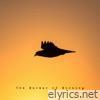 The Murmur of Morning - Single