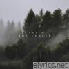 Lungs of the Forest - Single