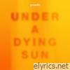 Under a Dying Sun