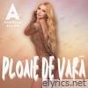 Ploaie de vară - Single