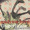 Andrew Bird - Fingerlings 2