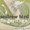 Andrew Bird - Fingerlings