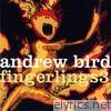 Andrew Bird - Fingerlings 3