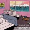 Andrew Mcmahon In The Wilderness - Get On My Wave - Single