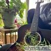 Andy Taylor lyrics