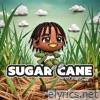 Sugar Cane - Single