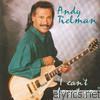 Andy Tielman - I Can't Forget You